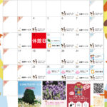 11月のイベントカレンダー